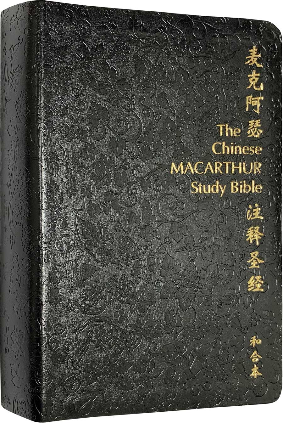 Chinese (Simplified) Black Leather Special MacArthur Study Bible