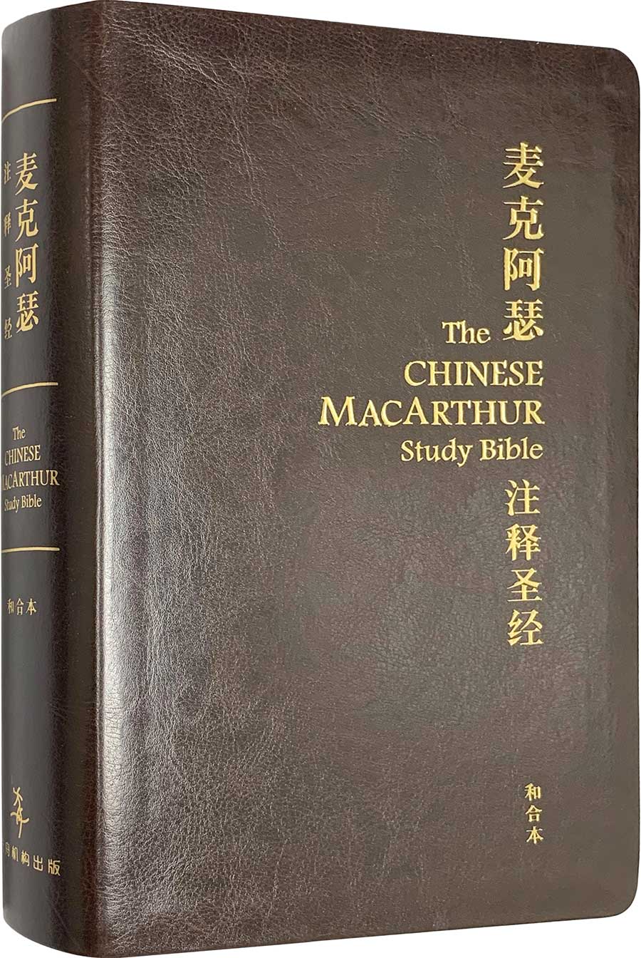 Chinese (Simplified) Brown Leather MacArthur Study Bible